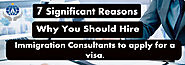 7 Significant Reasons Why You Should Hire Immigration Consultants to Apply for a Visa
