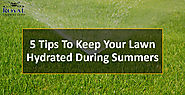 5 Tips To Keep Your Lawn Hydrated During Summers - Royal Landscapes
