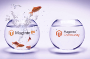 Magento Go to Magento Community Edition Migration Services