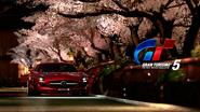 Gran Turismo 5