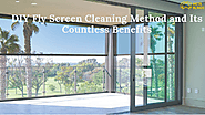 DIY Fly Screen Cleaning Method and Its Countless Benefits