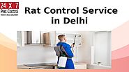 RAt control Service in Delhi by 24x7 Pest Control Gurgaon - Issuu