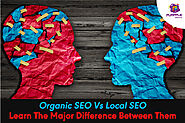 Organic SEO Vs Local SEO: Learn The Major Difference Between Them