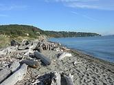 Discovery Park (Seattle)