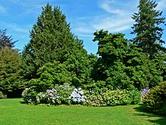 VanDusen Botanical Garden - Wikipedia, the free encyclopedia