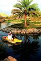 Al Naseem Public Park