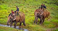 Chitwan Jungle Safari, Nepal Highlights Tour, Wildlife Trips