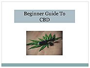 Beginner Guide To CBD