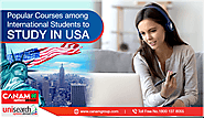 Popular Courses Among International Students to Study in USA