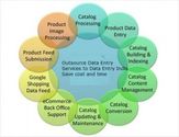 What all to consider before outsourcing Data Entry services