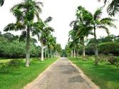 Henarathgoda Botanic Gardens
