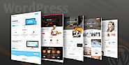 Wordpress Website Design | Wordpress Development Company | IMSolutions