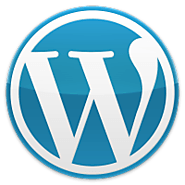 Professional WordPress Development Company in the USA