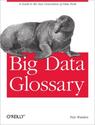 Big Data Glossary - Free Download eBook