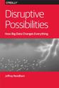 Disruptive Possibilities: How Big Data Changes Everything FREE edition