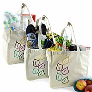 Ecological Shopping Bags - Naturally Sensible