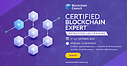 You Want To Become A Blockchain Developer?