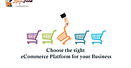 Choose the Right Ecommerce Platform