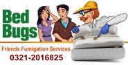 Bed Bugs Fumigation Services