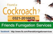 Cockroaches Gel Treatment - Fumigation Services