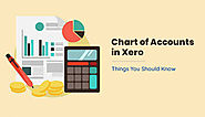 Charts of Accounts in Xero - 5 Things You Should Know