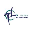 Kildare Ladies GAA (@KildareLadies)