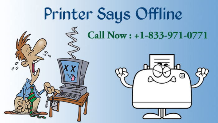 Why Shouldn't you Miss Out on Availing Printer is Offline Support? | A