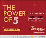 The Power of 5 | Palm Haven2