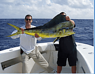 Miami swordfish charters