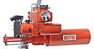 Get Bettis Actuator Springs for Best Performance of the Machine