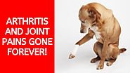 🐕 Cure Dog and Cat Arthritis with the SHOCKING New All Natural Dr Maggie Joint Formula!