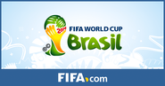 2014 FIFA World Cup Brazil™