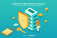 Importance of Web hosting for businesses