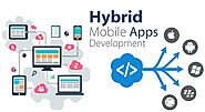 Hybrid App Development Company in Noida caters your business profitability worldwide