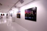 Art Gallery: exhibition
