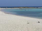 Rodgers Beach, Aruba - Wikipedia, the free encyclopedia