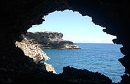 Animal Flower Cave - Wikipedia, the free encyclopedia