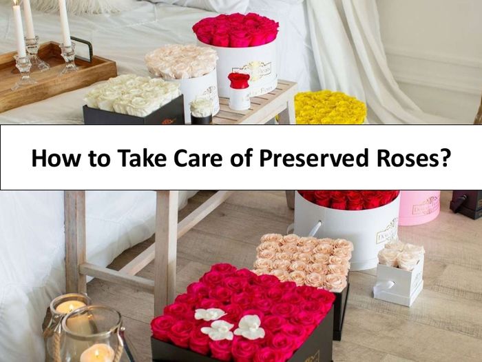 Preserved Roses Arrangements A Listly List