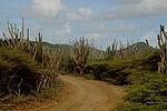 Washington Slagbaai National Park - Wikipedia, the free encyclopedia