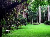Jardín botánico de la Universidad Central de Venezuela