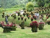 Jardin de Balata - Wikipedia, the free encyclopedia