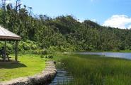 Grand Etang National Park & Forest Reserve | Eco Sites | Attractions | Explore