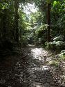 Parc national de la Guadeloupe