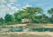 Parque de la Ceiba