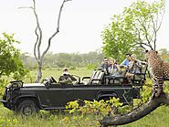 Traits to Look for in a Guide Before Going on a Safari Tour - Safari Deal