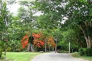 St. George Village Botanical Garden - Wikipedia, the free encyclopedia