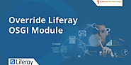 Override Liferay OSGI Module