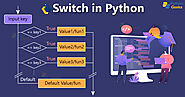 Python Switch Case with Examples - Python Geeks