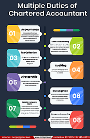 Multiple Duties of Chartered Accountant