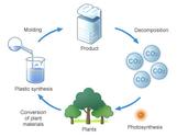 Why are normal plastics not biodegradable?